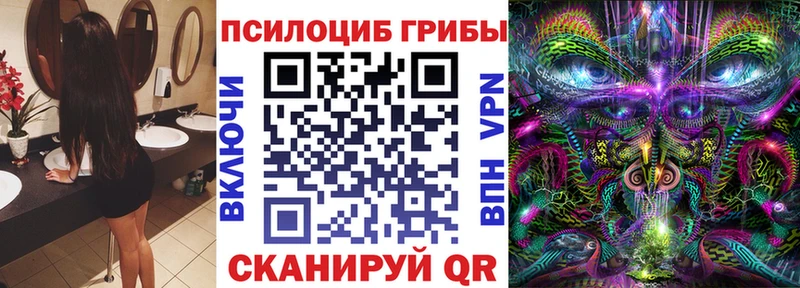 mega рабочий сайт  Ельня  Псилоцибиновые грибы мицелий 
